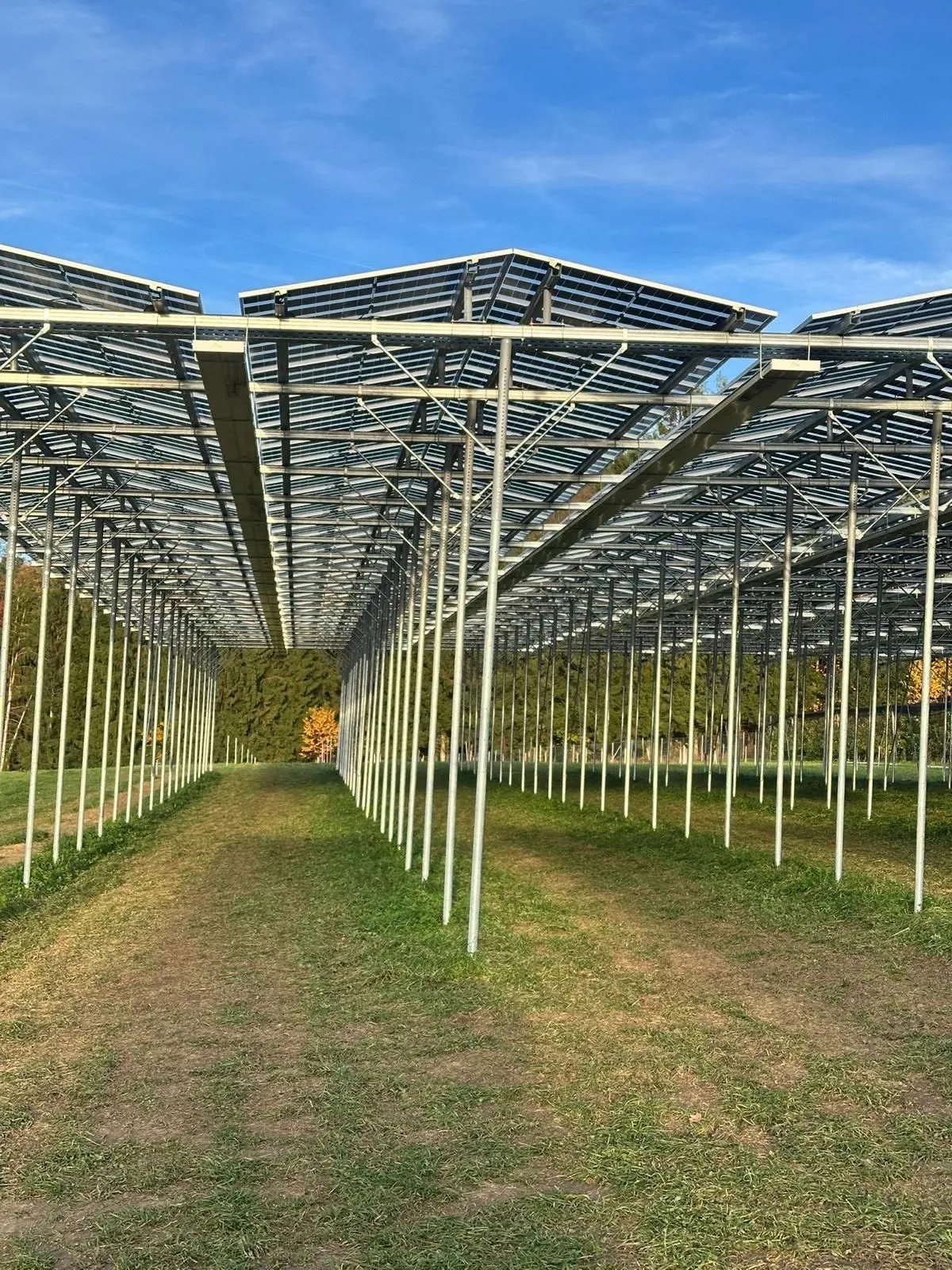 Haidegg+(10)-1920w