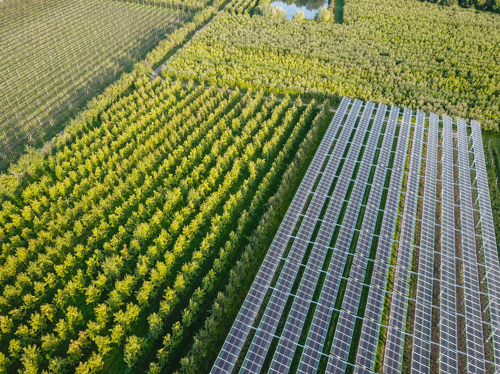 Luftaufnahme einer Agri-PV-Anlage mit Photovoltaik