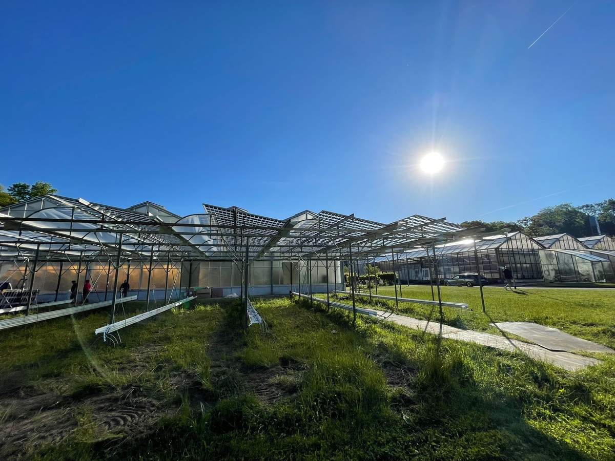 Montagearbeiten an der Unterkonstruktion einer Agri-PV-Anlage mit Gewächshäusern im Hintergrund