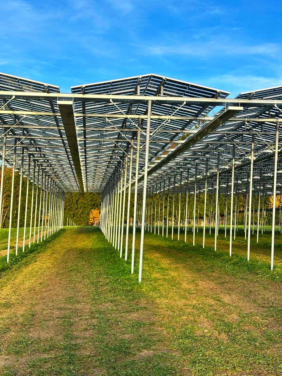 Blick auf eine Reihe von Stützpfosten, die zur Firstkonstruktion der Agri-PV-Anlage führen.