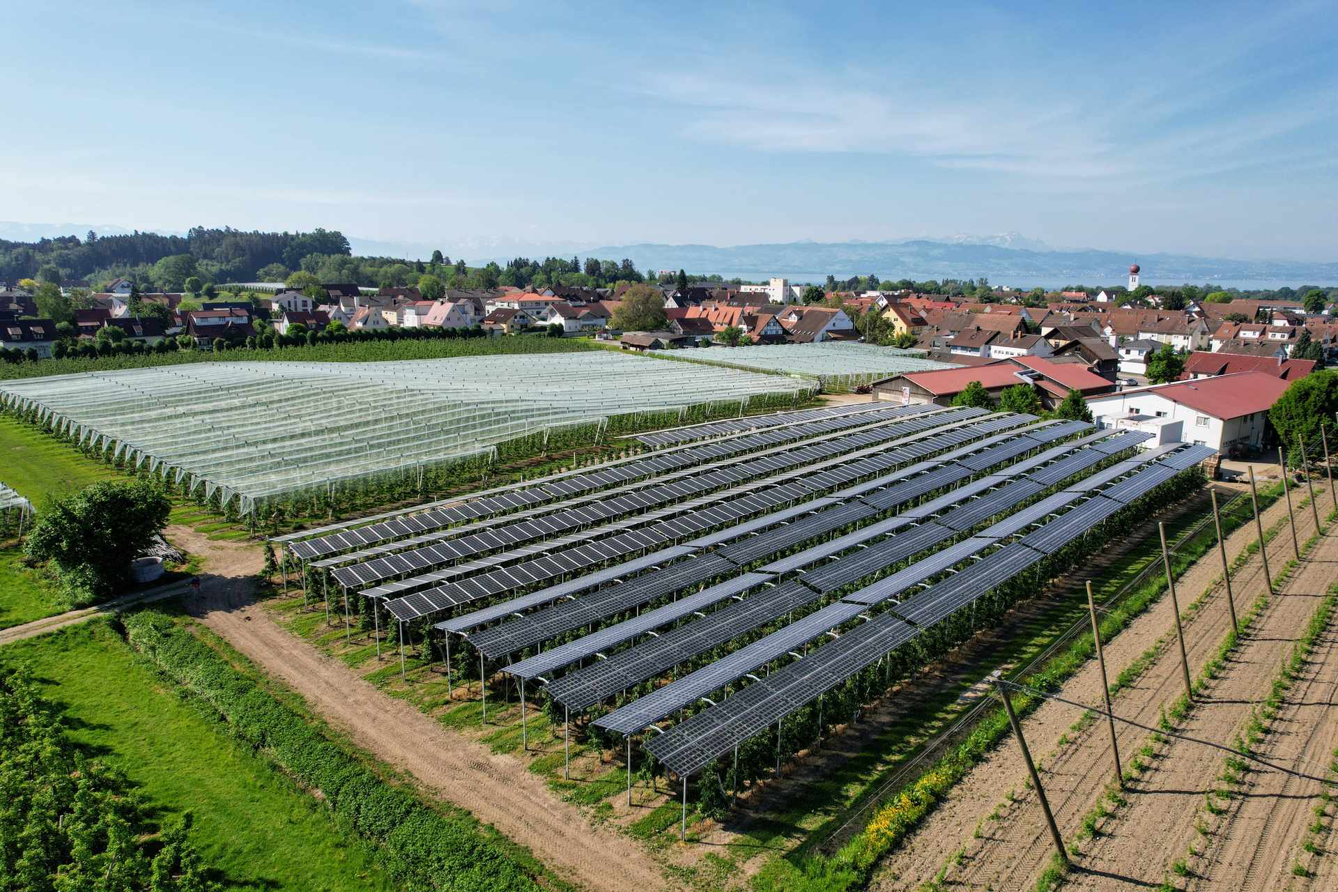 Luftaufnahme der Agri-PV-Anlage zwischen Obstplantagen mit Bodensee und Alpen im Hintergrund