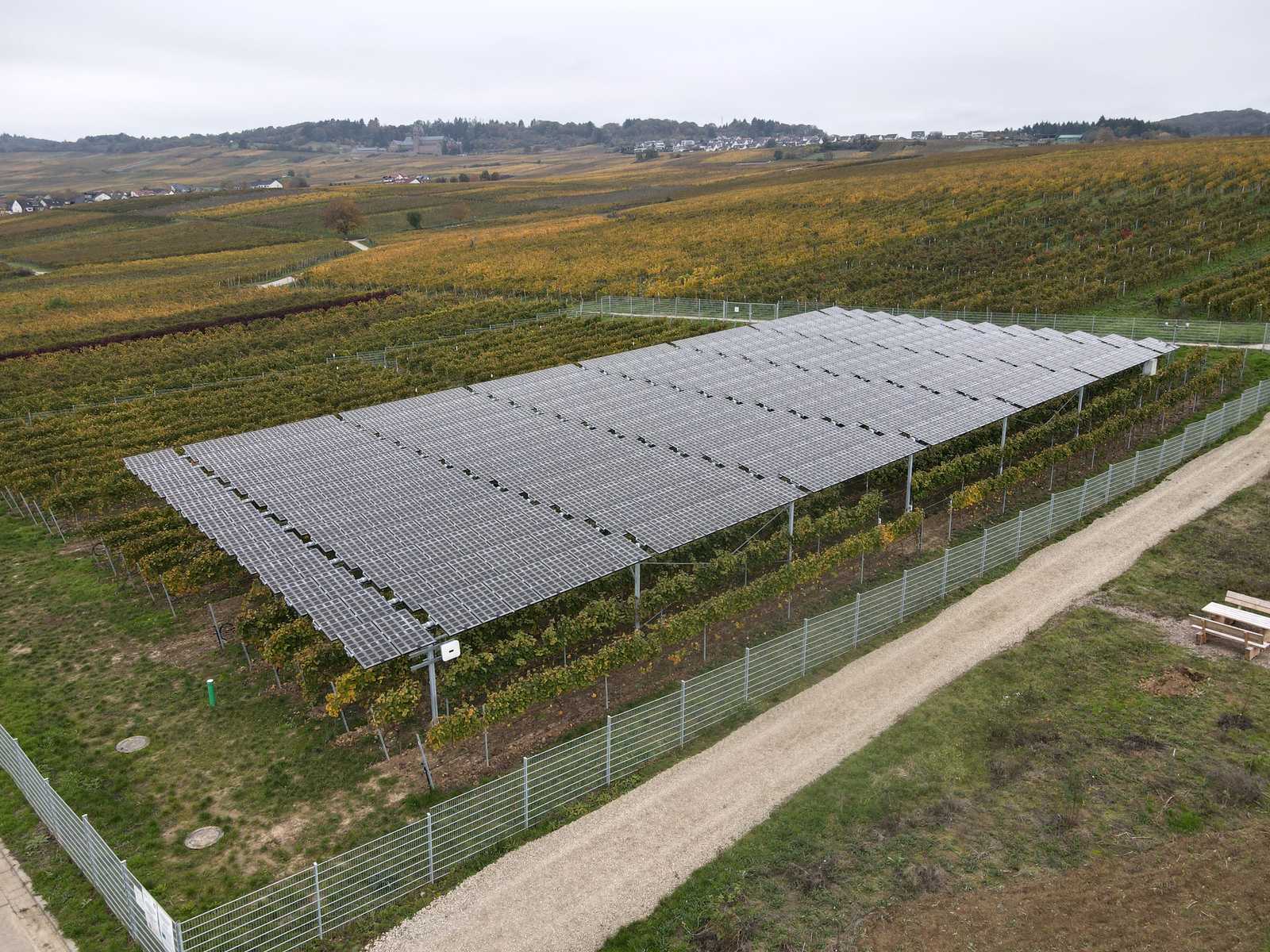 Luftaufnahme der eingezäunten Tracker-Anlage inmitten herbstlicher Weinberge, Geisenheim