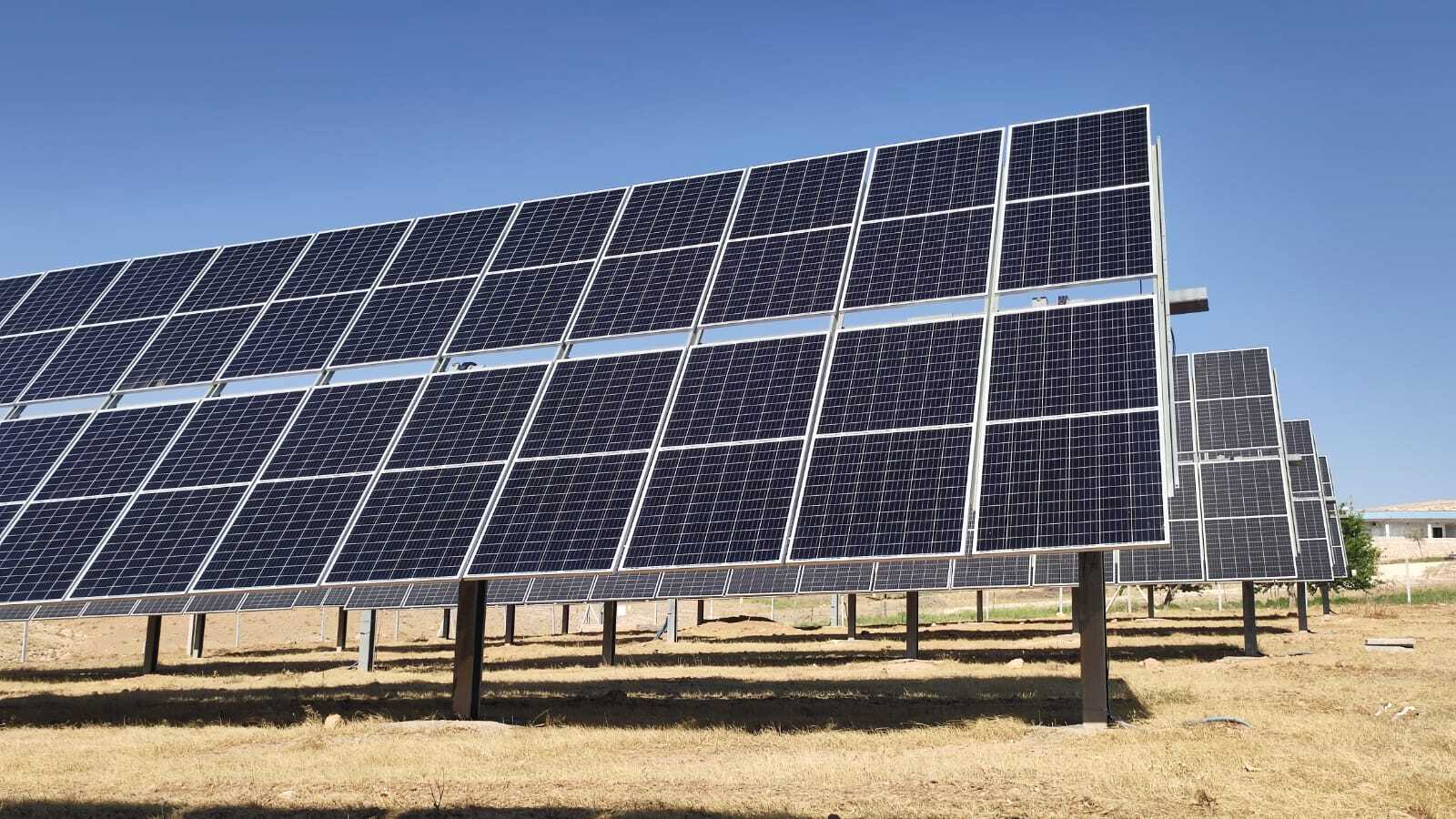 Reihenweise aufgeständerte Solarmodule einer Agri-PV-Anlage vor blauem Himmel