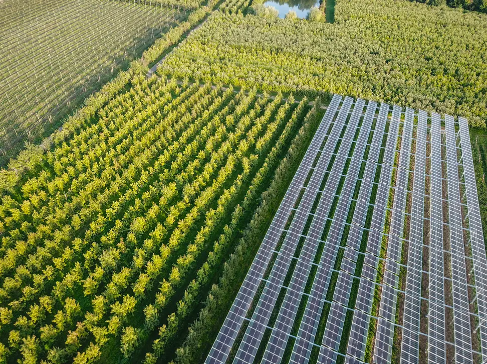 Luftaufnahme einer Solar-Reihenkonstruktion in Südausrichtung neben Obstbaumreihen und einem Teich