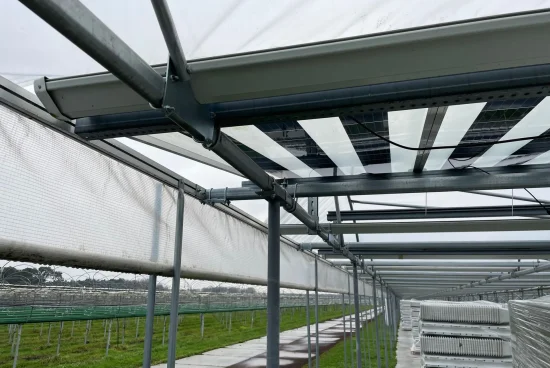 Erdbeeren+Foliendach+1-27ddd7d2-1920w