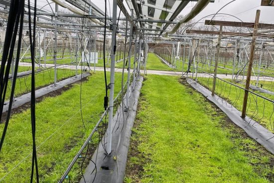 Wassermanagemen+-+UK+Beeren+1-f698b659-1920w