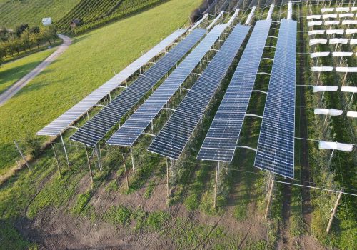 Steile Draufsicht auf Modulreihen einer Agri-PV-Anlage neben Apfelbäumen