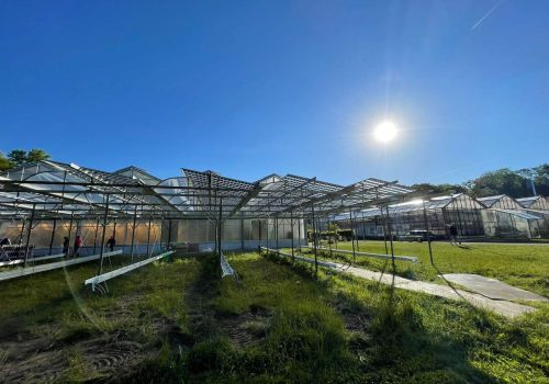 Montagearbeiten an der Unterkonstruktion einer Agri-PV-Anlage mit Gewächshäusern im Hintergrund