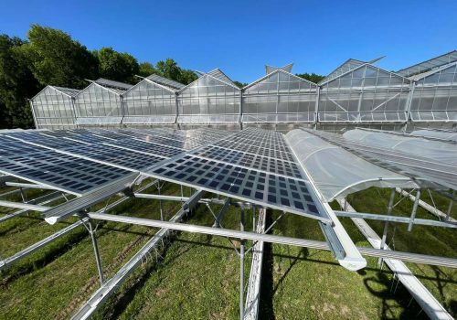 Reihen von Solarmodulen aus erhöhter Perspektive neben Gewächshäusern der Agri-PV-Anlage in Jülich