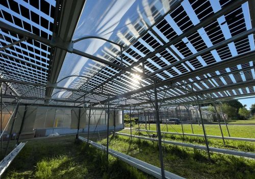 Blick entlang mehrerer Modulreihen der Unterkonstruktion einer Agri-PV-Anlage in Jülich