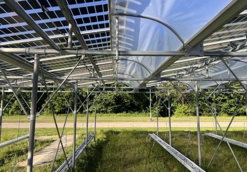 Verzinkte Metallunterkonstruktion mit semitransparenten Solarmodulen der Agri-PV-Anlage
