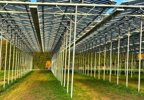 Blick auf eine Reihe von Stützpfosten, die zur Firstkonstruktion der Agri-PV-Anlage führen.