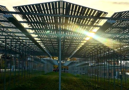 Sonnenstrahlen scheinen durch Modulreihen einer Agri-PV-Anlage bei Sonnenuntergang.