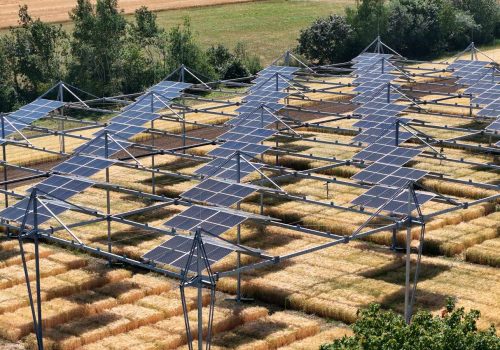 Luftaufnahme einer hoch aufgeständerten Agri-PV-Anlage über Weizenfeldern