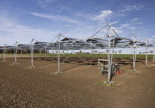 Gesamtansicht der Agri-PV-Anlage am Ihinger Hof mit freier Fläche unter den Modulreihen