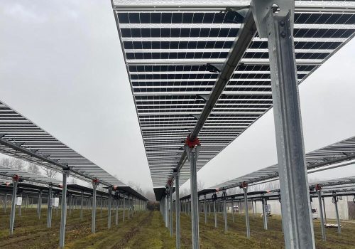 Untersicht der Modulreihen mit Trägerkonstruktion und Montagesystem einer Agri-PV-Anlage