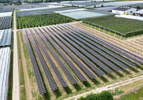 Drohnenaufnahme der Gesamtanlage mit Solarmodulreihen, Obstplantagen und Gewächshäusern in Ravensburg