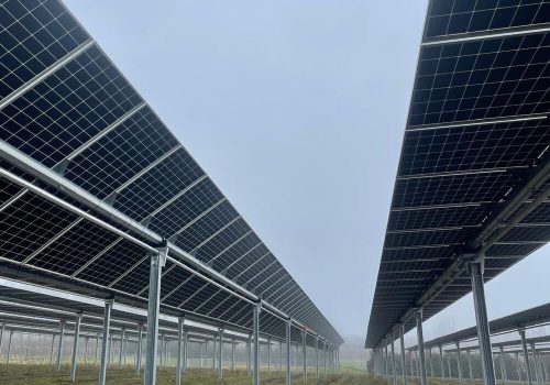 Blick entlang zweier Modulreihen einer Agri-PV-Anlage bei nebligem Wetter.