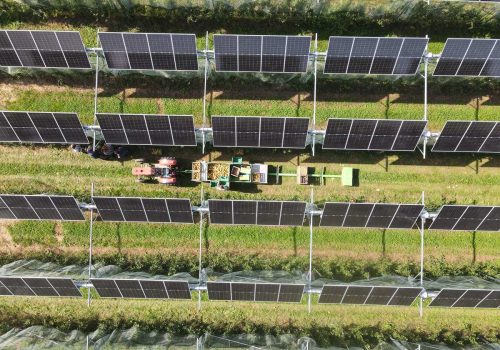 Traktor und Erntehelfer bei der Apfelernte zwischen Modulreihen der Agri-PV-Anlage in Karlsruhe