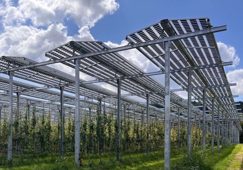 Geneigte Tracker-Module über jungen Apfelbaumreihen der Agri-PV-Anlage, Karlsruhe