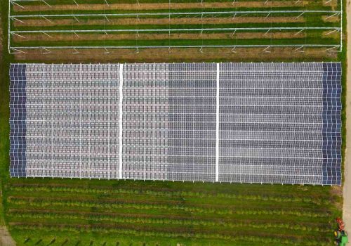 Senkrechte Draufsicht auf Solarmodule mit unterschiedlicher Transparenz über Kirschbaumreihen, Heuchlingen