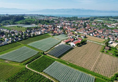 Betriebsgelände mit Agri-PV-Anlage zwischen Obstplantagen und Bodensee im Hintergrund in Kressbronn
