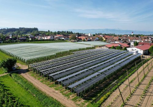 Luftaufnahme der Agri-PV-Anlage zwischen Obstplantagen mit Bodensee und Alpen im Hintergrund