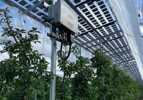 Wechselrichter zwischen Solarmodulen über Apfelbaumreihen der Agri-PV-Anlage in Kressbronn