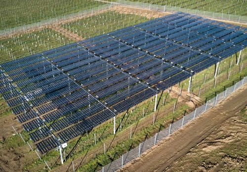 Aufnahme der Bauphase der Trackerkonstruktion über jungen Reben