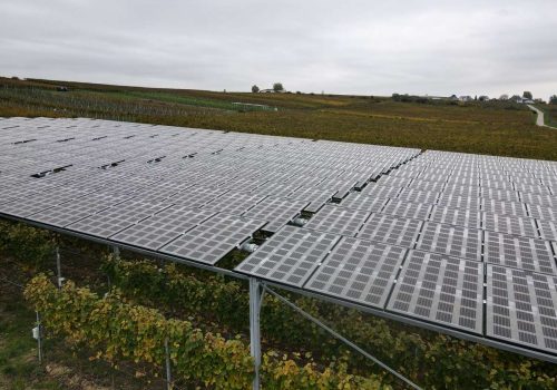 Photovoltaik-Modulreihen der VitiVoltaic-Anlage über Weinreben mit Landschaft im Hintergrund, Geisenheim