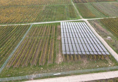 Steile Draufsicht auf die eingezäunte VitiVoltaic-Anlage zwischen Weinbergreihen, Geisenheim