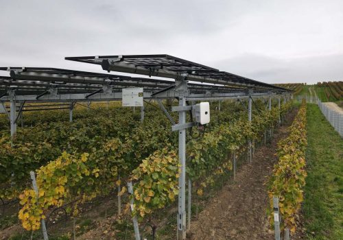 Wechselrichter an der Trackerkonstruktion über herbstlichen Weinreben, VitiVoltaic-Anlage Geisenheim