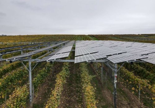 Tracker-Module der VitiVoltaic-Anlage vor herbstlicher Weinberglandschaft im Rheingau, Geisenheim
