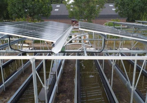 Wasserauffangsystem unter Modulen einer Agri-PV-Anlage
